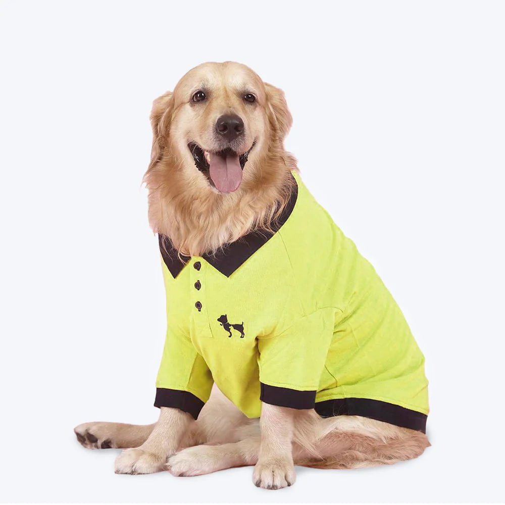 HUFT Solid Polo Dog T-Shirt - Lemon Green