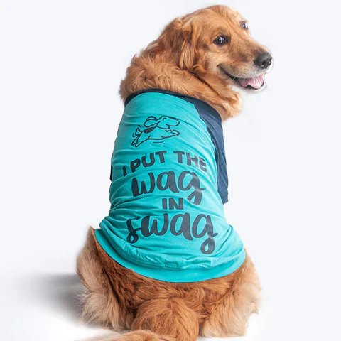 HUFT I Put The Wag In The Swag Dog T-shirt