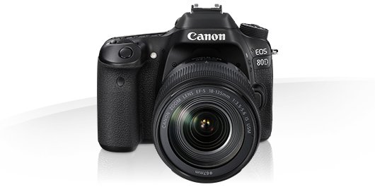 Canon EOS 80D (On Rent)